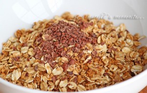 Somoa Granola