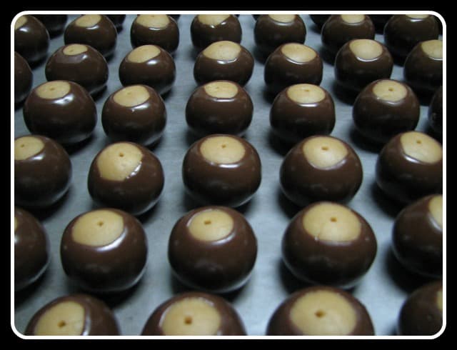 Buckeyes