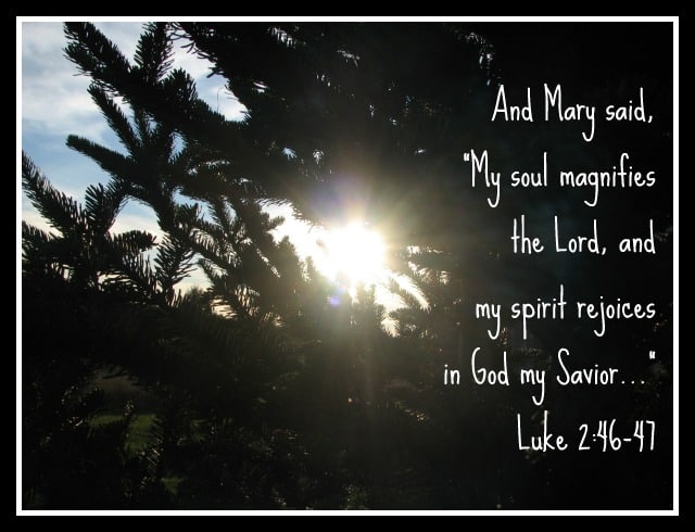 Luke 2:46-47