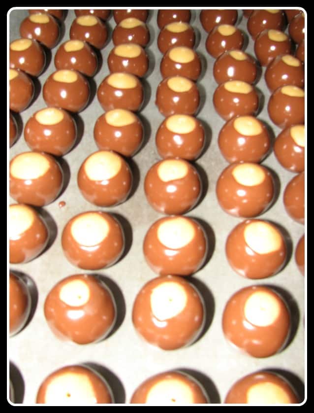 Shiny Buckeyes