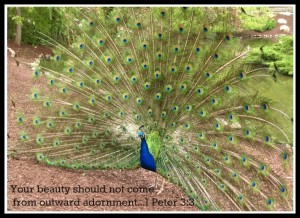 Outward Adornment