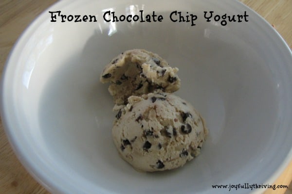 Frozen Chocolate Chip Yogurt