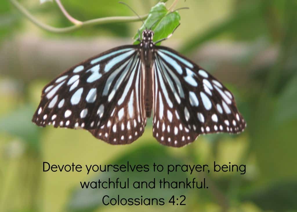Colossians 4:2