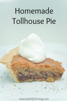 Decadent Tollhouse Pie that Your Whole Family Will Love